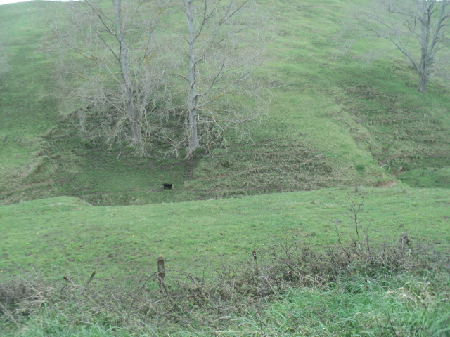 Name:  picture 01 5866.jpg
Views: 427
Size:  164.7 KB