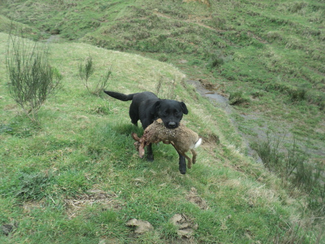 Name:  picture 01 5873.jpg
Views: 386
Size:  165.3 KB