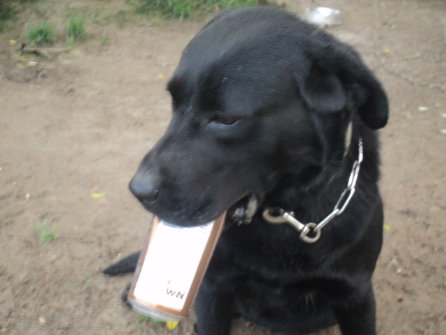 Name:  picture 01 5878.jpg
Views: 389
Size:  165.1 KB