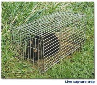 Name:  trapping2.jpg
Views: 1096
Size:  24.8 KB