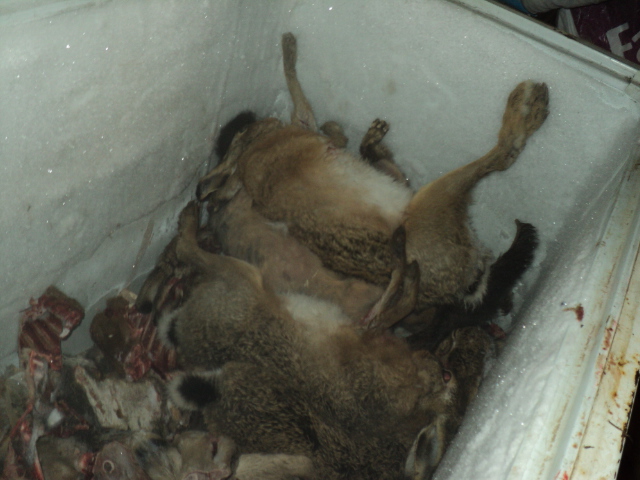 Name:  Picture 140.jpg
Views: 523
Size:  165.1 KB