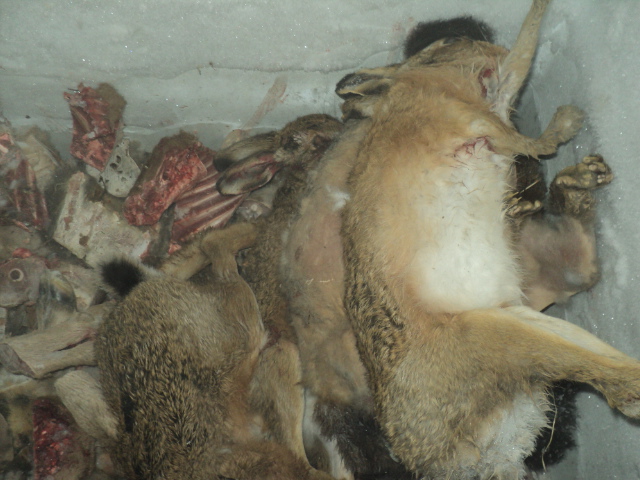 Name:  Picture 139.jpg
Views: 532
Size:  165.1 KB