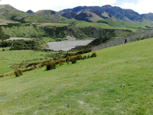 Name:  Image9.jpg
Views: 543
Size:  163.8 KB