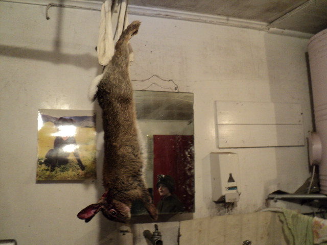 Name:  Picture 004.jpg
Views: 551
Size:  160.4 KB