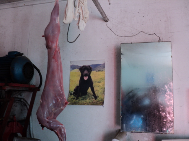 Name:  Picture 008.jpg
Views: 509
Size:  161.7 KB