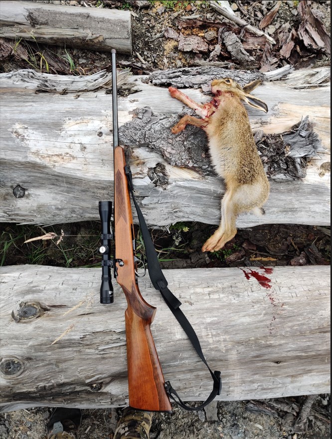 Name:  first hare with Zastava cz99.jpg
Views: 303
Size:  251.5 KB