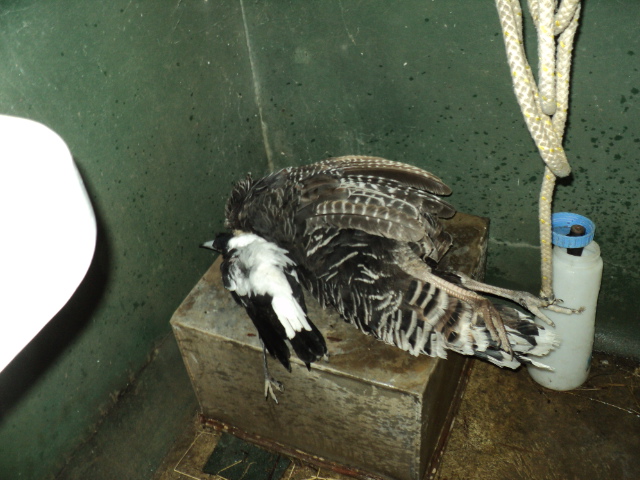 Name:  picture 3231.jpg
Views: 429
Size:  163.6 KB