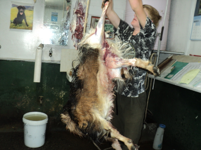 Name:  picture 3232.jpg
Views: 442
Size:  164.9 KB