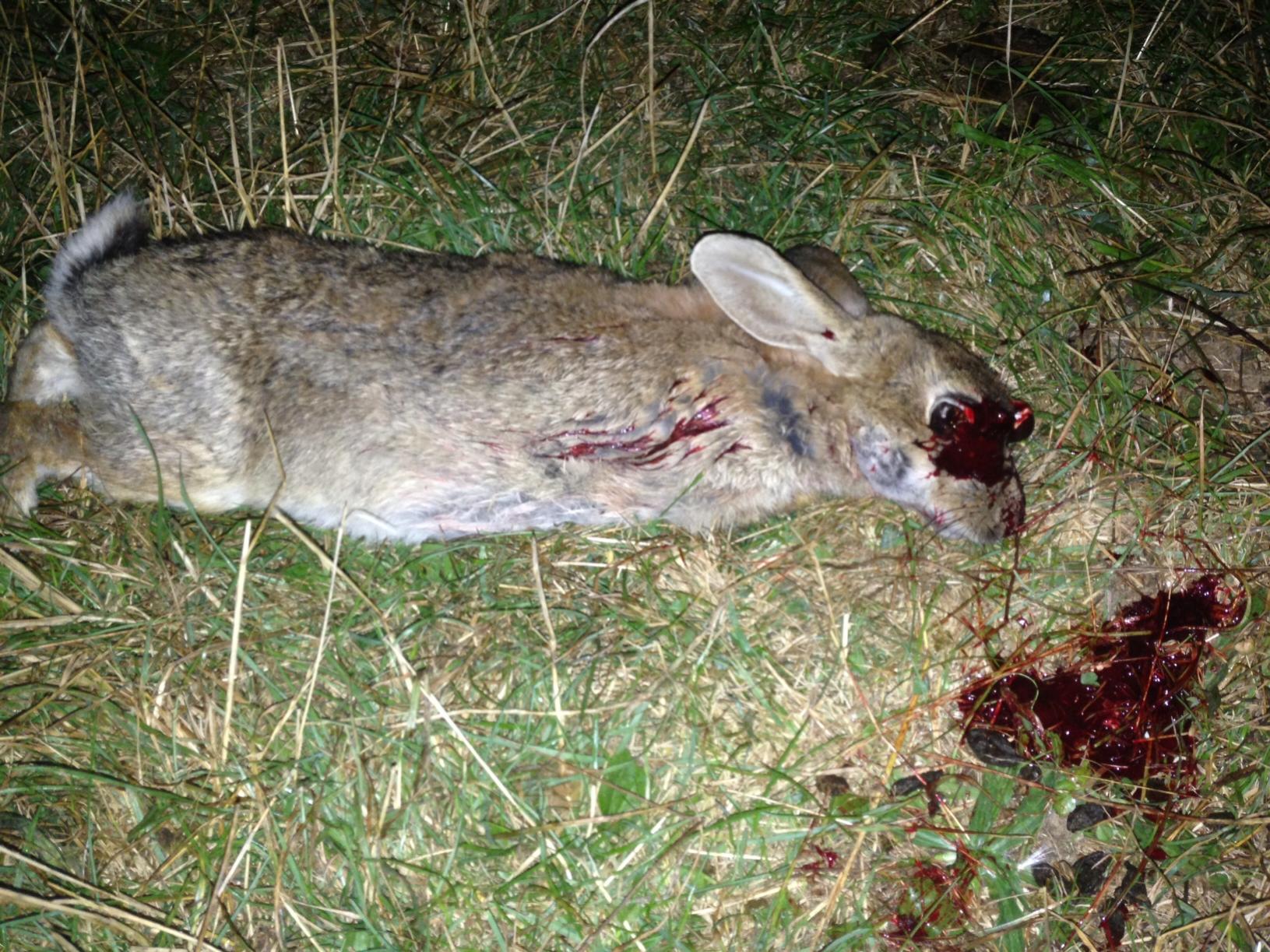 Name:  80m headshot 8.3.14.jpg
Views: 1961
Size:  382.2 KB