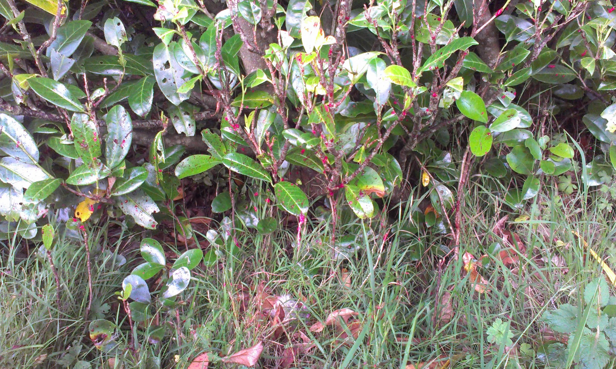 Name:  IMAG0421.jpg
Views: 303
Size:  837.8 KB