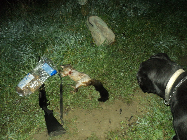 Name:  DSC06787.JPG
Views: 419
Size:  163.3 KB