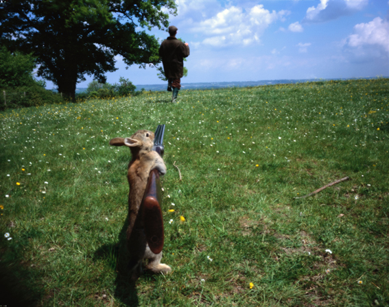 Name:  74400387_rabbit_gun_small.jpg
Views: 1489
Size:  325.2 KB
