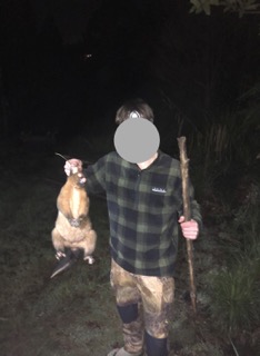Name:  possum pinnacles.jpeg
Views: 477
Size:  17.4 KB