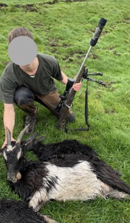 Name:  Goat king country.jpeg
Views: 426
Size:  31.5 KB