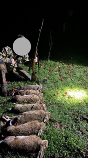 Name:  hares king country .jpeg
Views: 414
Size:  25.5 KB