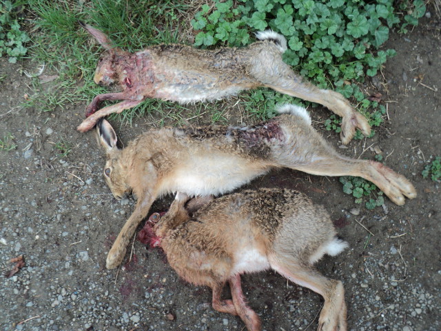 Name:  picture 3422.jpg
Views: 361
Size:  164.5 KB