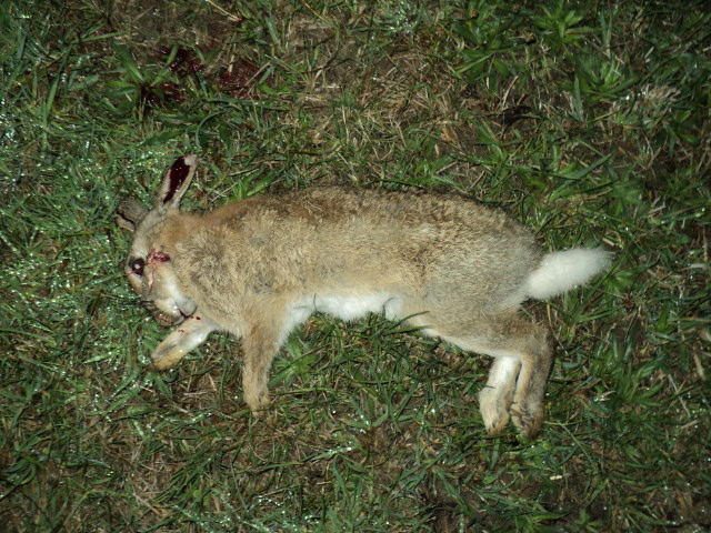 Name:  picture 3432.jpg
Views: 436
Size:  164.5 KB