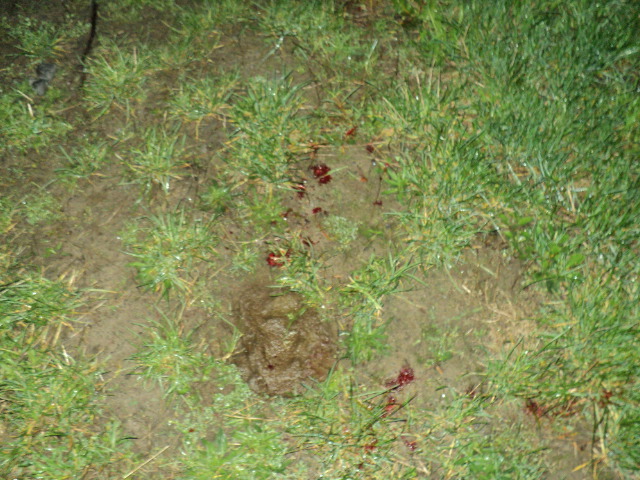Name:  picture 3480.jpg
Views: 397
Size:  164.3 KB