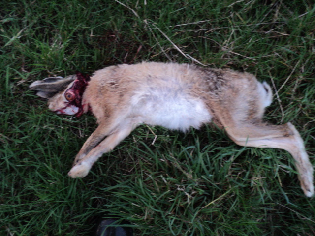 Name:  picture 3498.jpg
Views: 475
Size:  163.8 KB