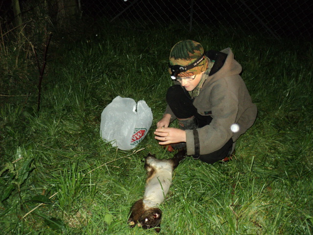 Name:  picture 3517.jpg
Views: 281
Size:  164.4 KB
