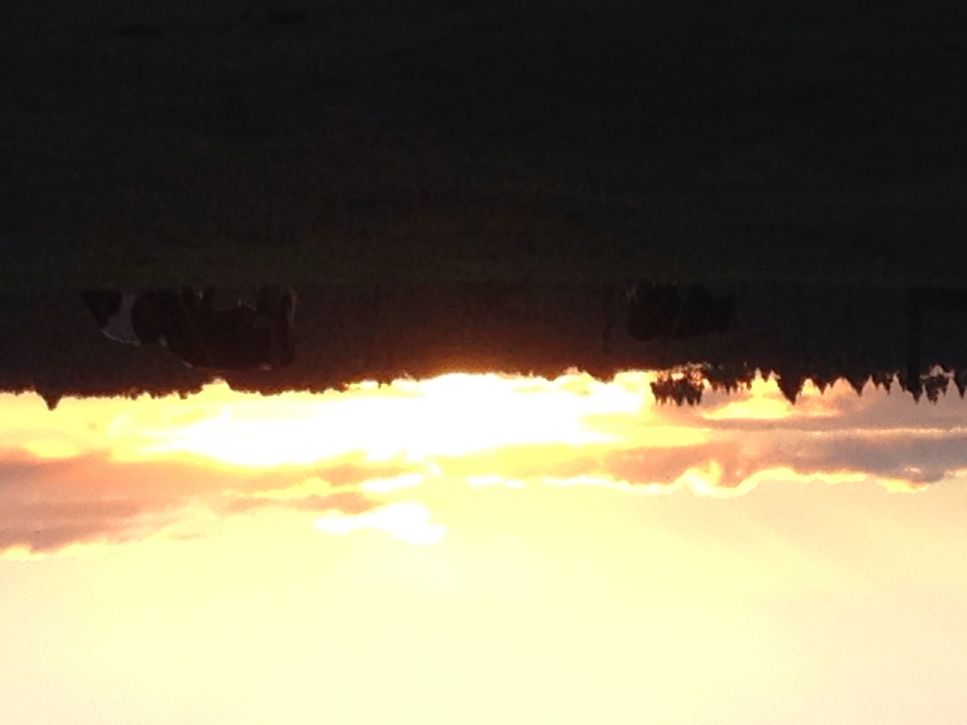 Name:  image.jpg
Views: 437
Size:  563.3 KB