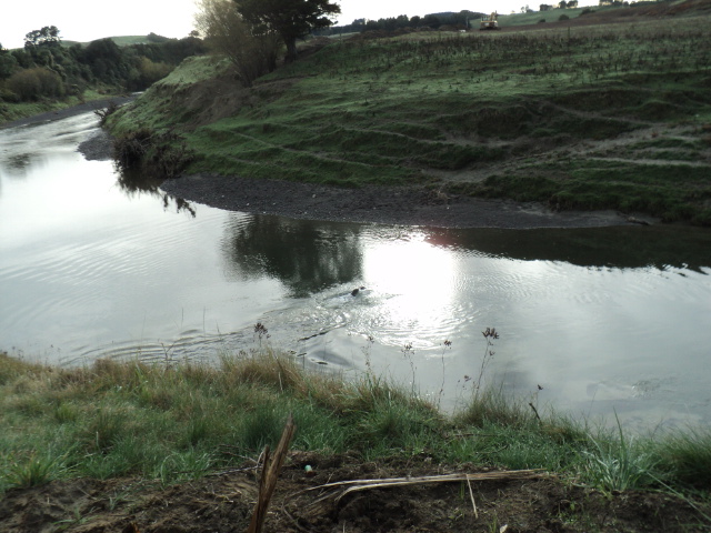 Name:  picture 3663.jpg
Views: 376
Size:  165.1 KB