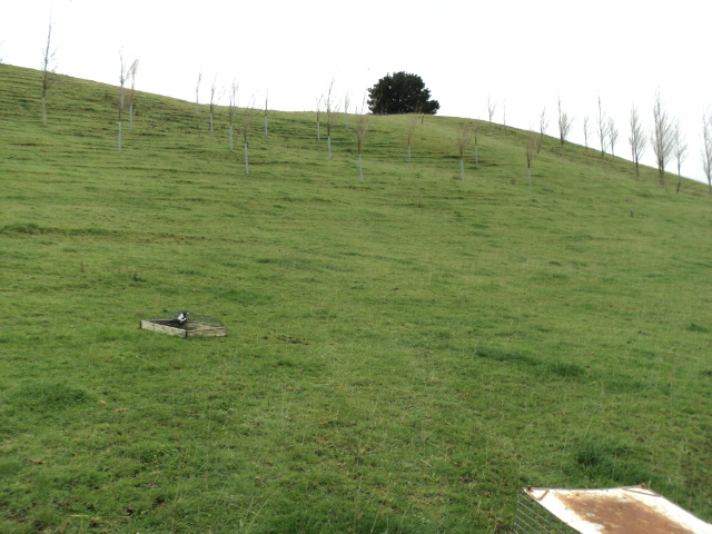 Name:  picture 3748.jpg
Views: 371
Size:  164.4 KB