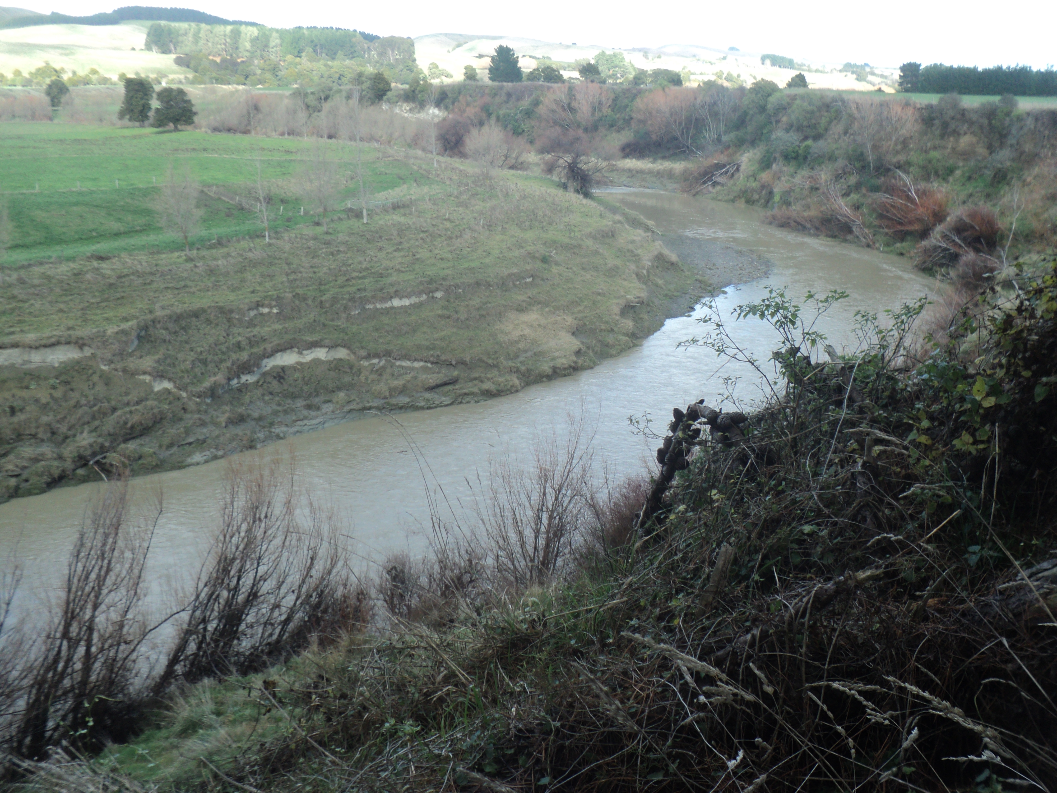 Name:  DSC08548.JPG
Views: 173
Size:  4.23 MB