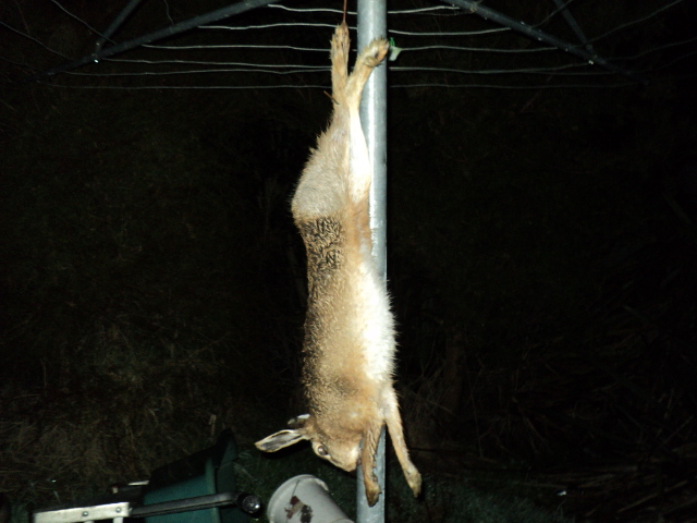 Name:  picture 3924.jpg
Views: 379
Size:  164.8 KB