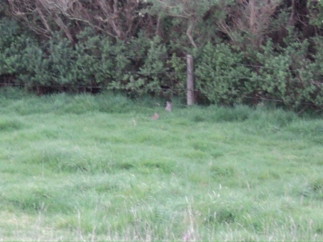 Name:  picture 195.jpg
Views: 20573
Size:  161.6 KB