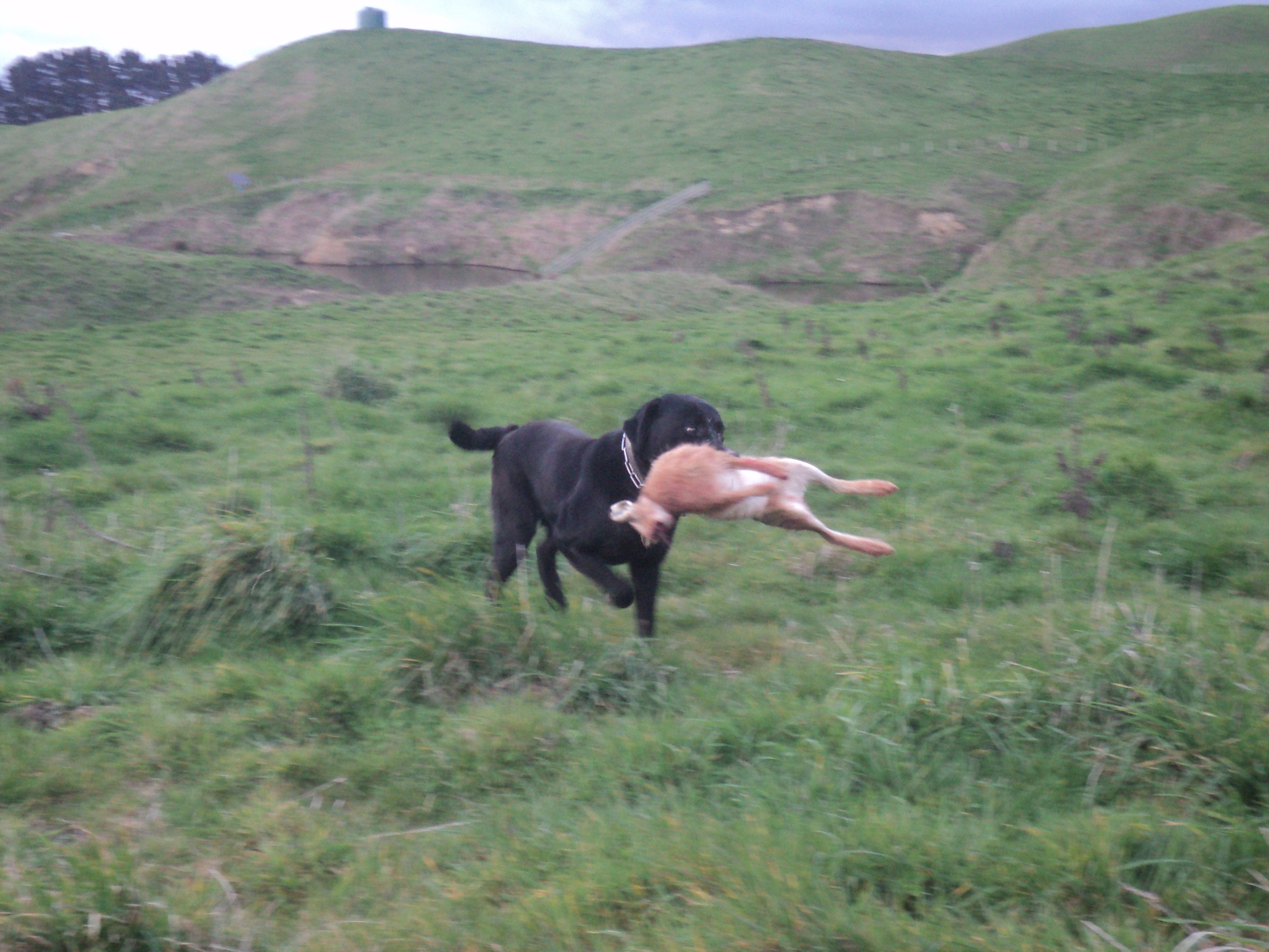Name:  DSC08703.JPG
Views: 264
Size:  4.33 MB