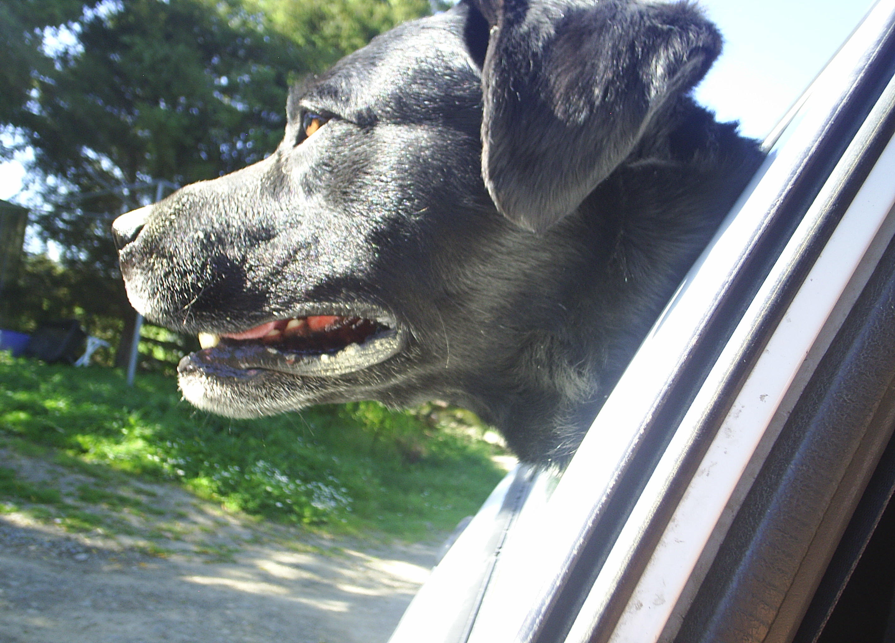 Name:  PIC_0006.JPG
Views: 268
Size:  884.9 KB