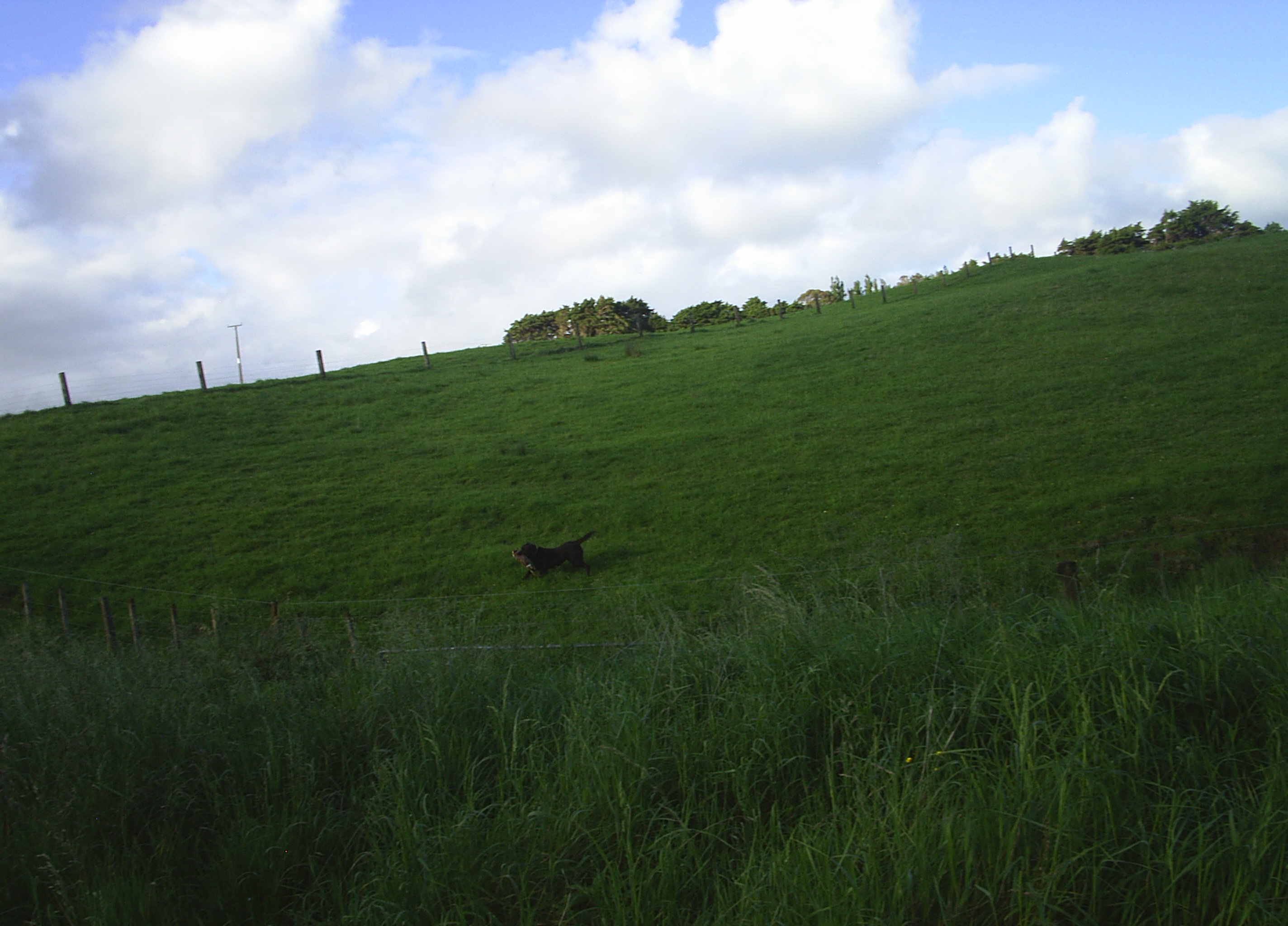 Name:  PIC_0026.JPG
Views: 281
Size:  681.4 KB