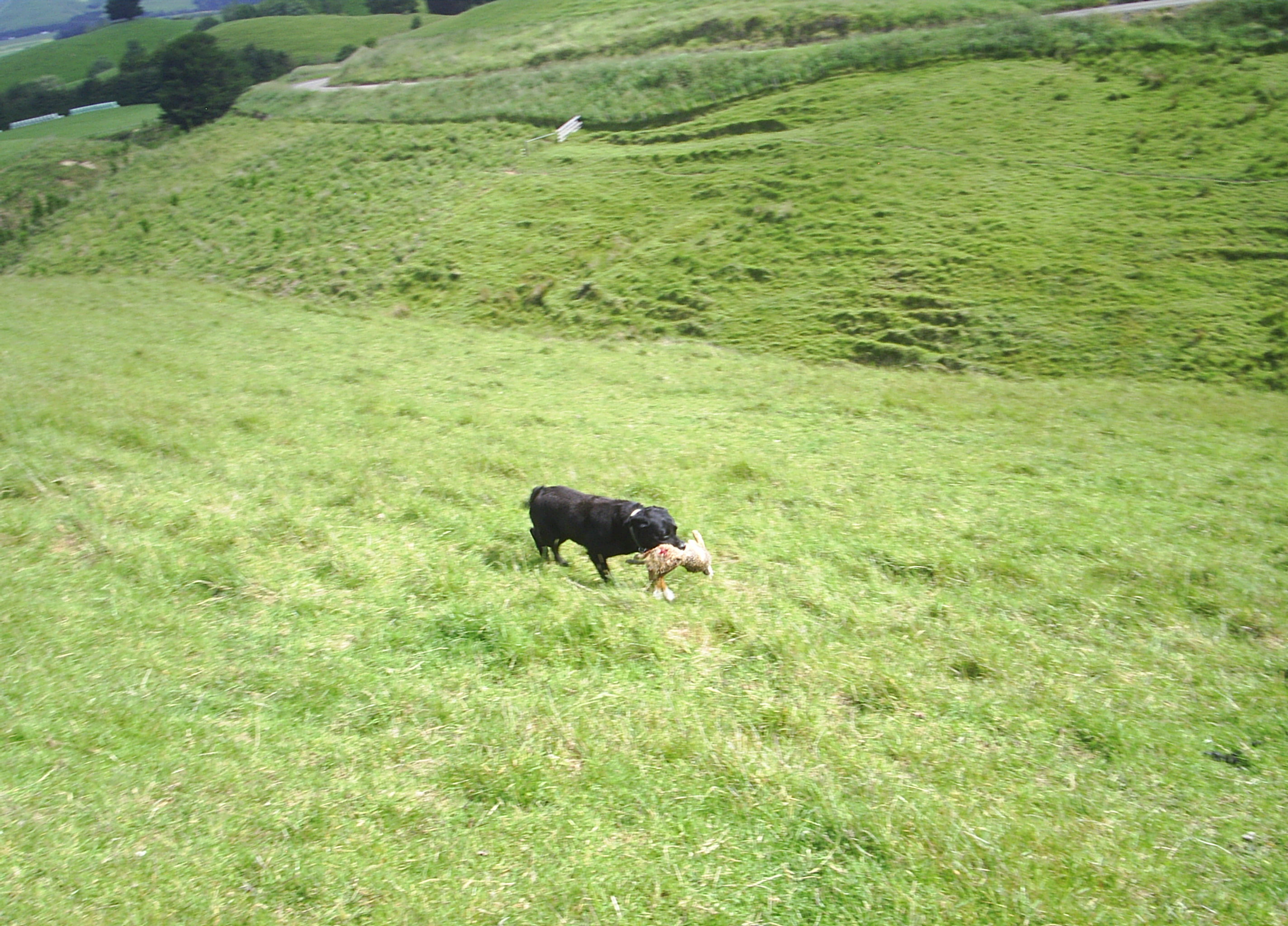 Name:  PIC_0041.JPG
Views: 343
Size:  1.14 MB
