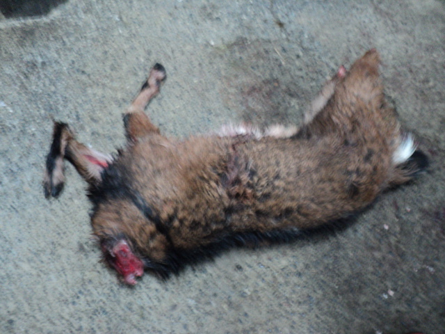 Name:  picture 4079.jpg
Views: 387
Size:  164.6 KB