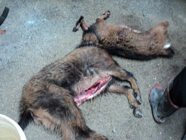 Name:  picture 4080.jpg
Views: 408
Size:  162.7 KB