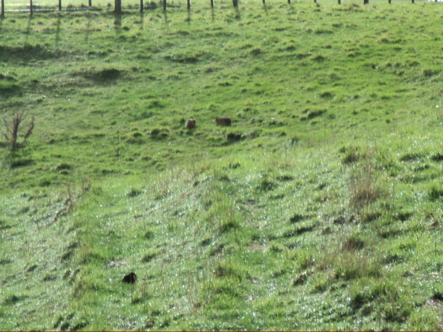 Name:  picture 4091.jpg
Views: 327
Size:  164.4 KB