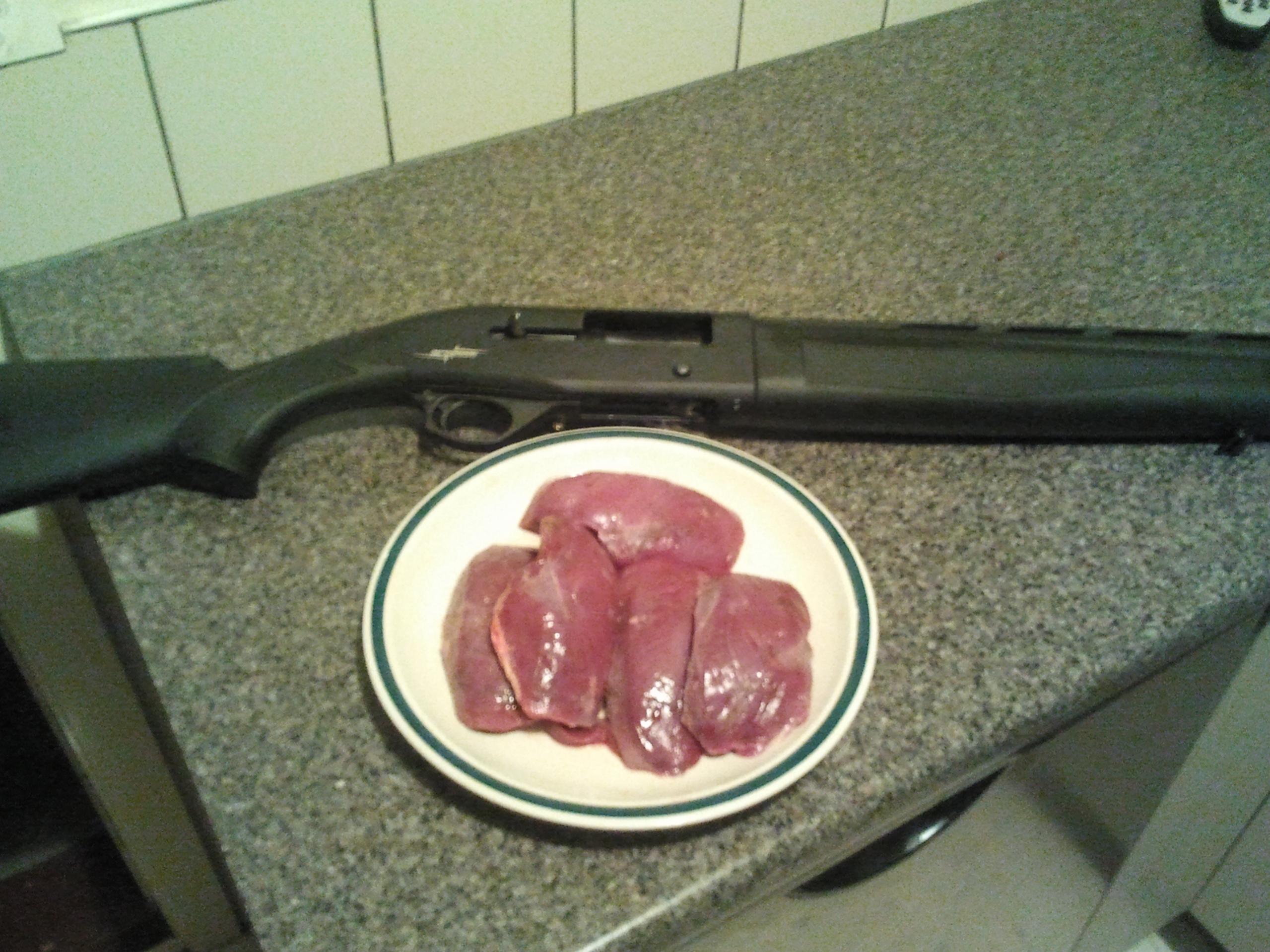 Name:  Duck Hunt.jpg
Views: 262
Size:  505.2 KB