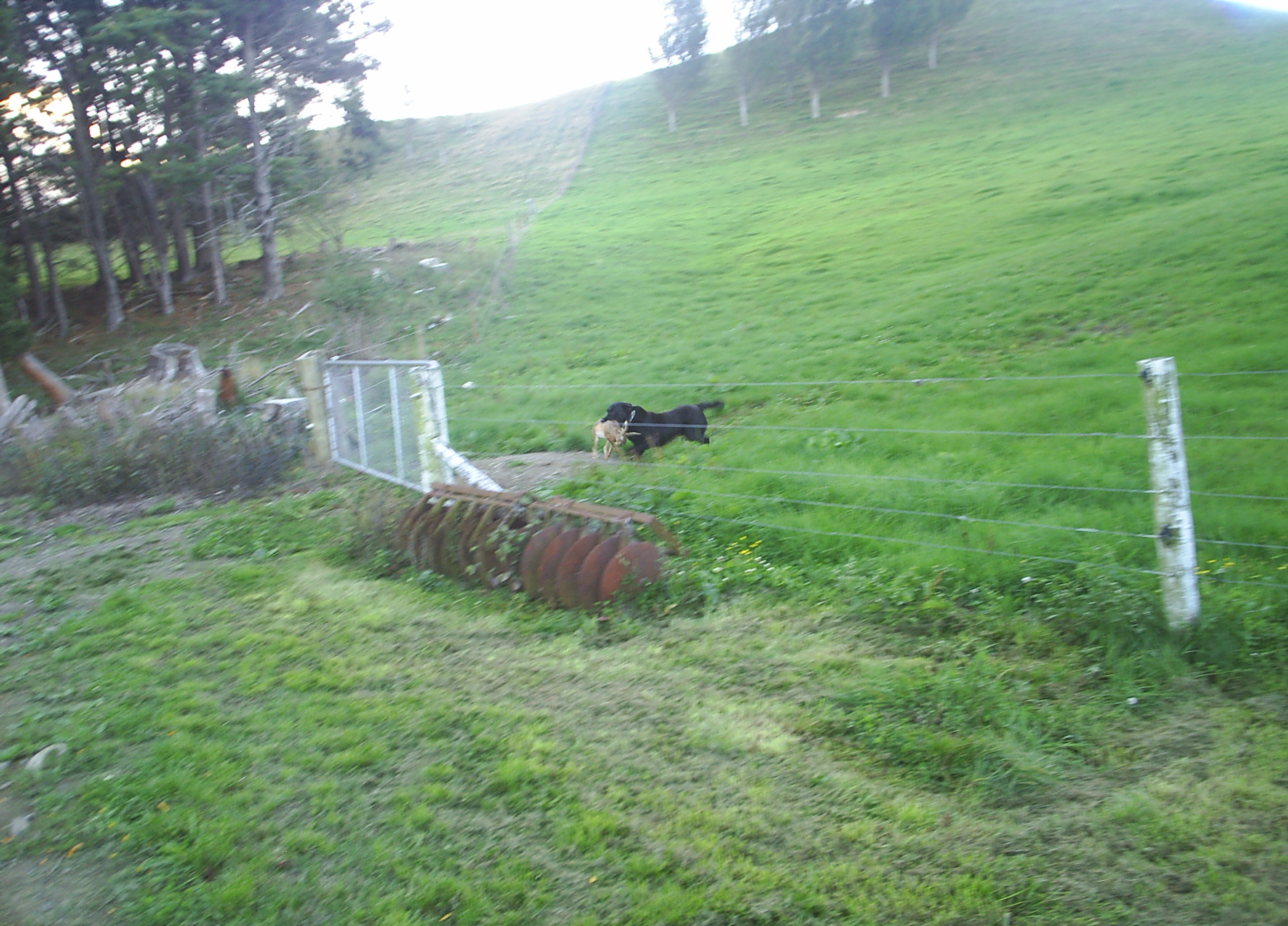 Name:  PIC_0078.JPG
Views: 377
Size:  956.1 KB