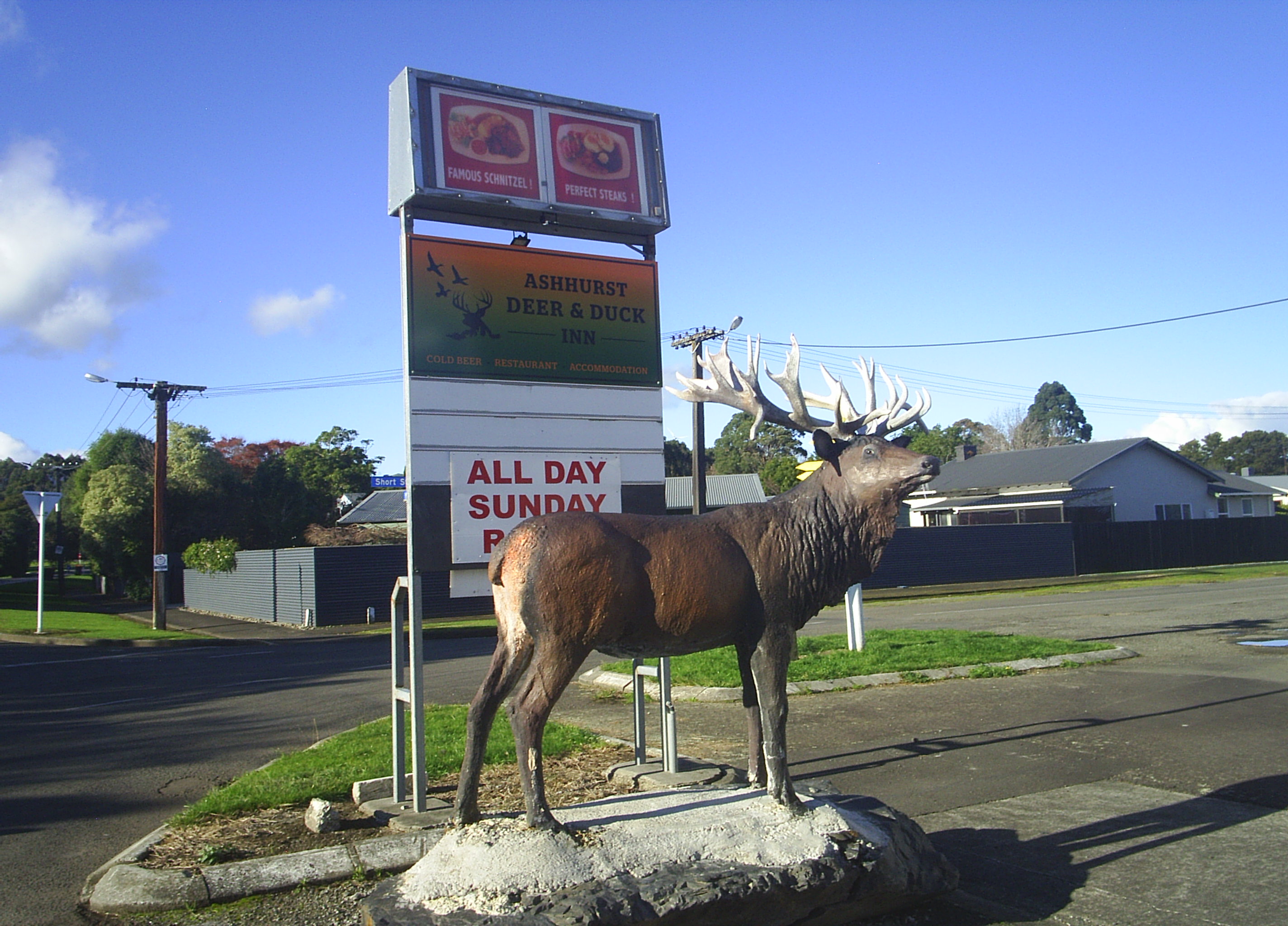 Name:  picture 9885.JPG
Views: 239
Size:  912.6 KB