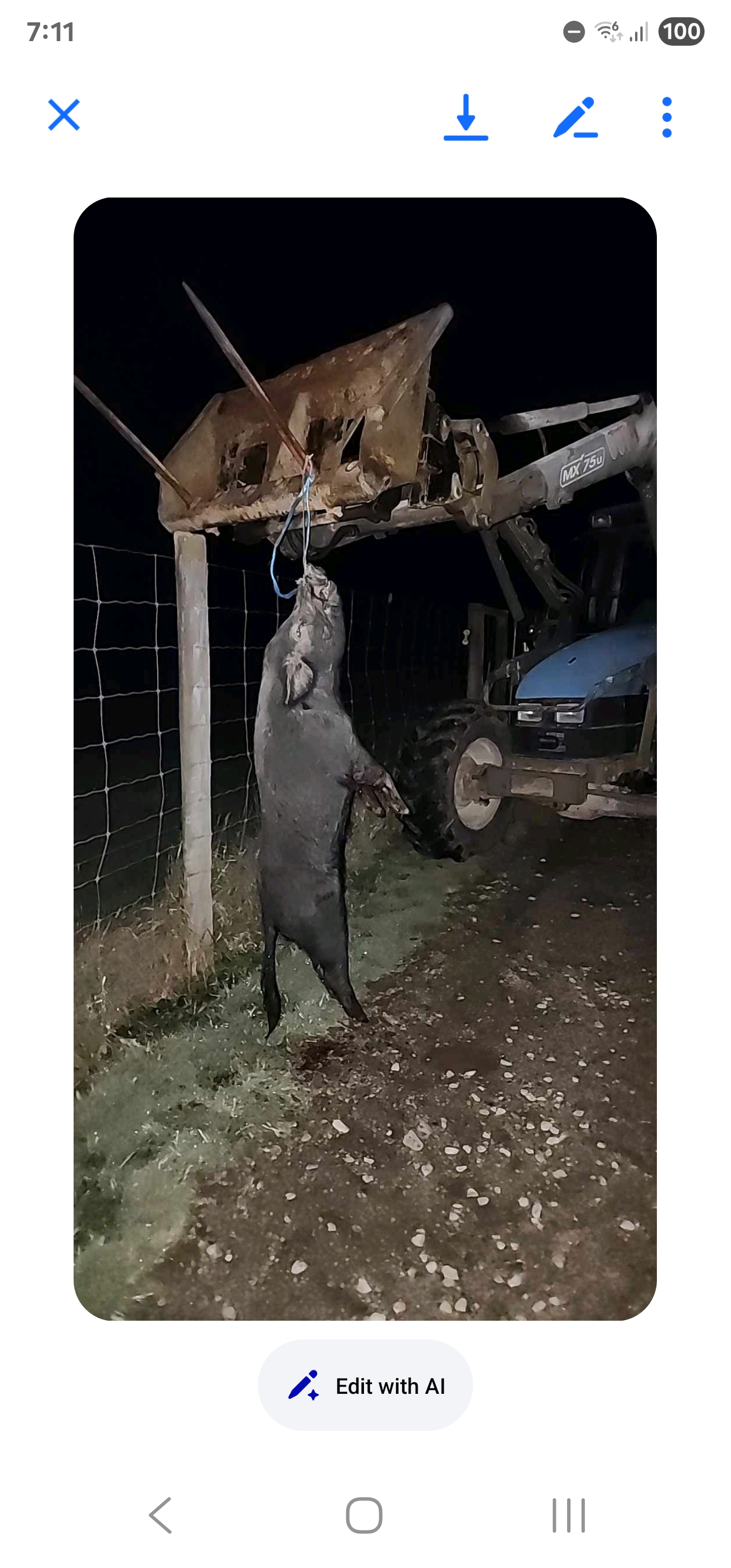 Name:  Piggypiggy.jpg
Views: 234
Size:  1.26 MB