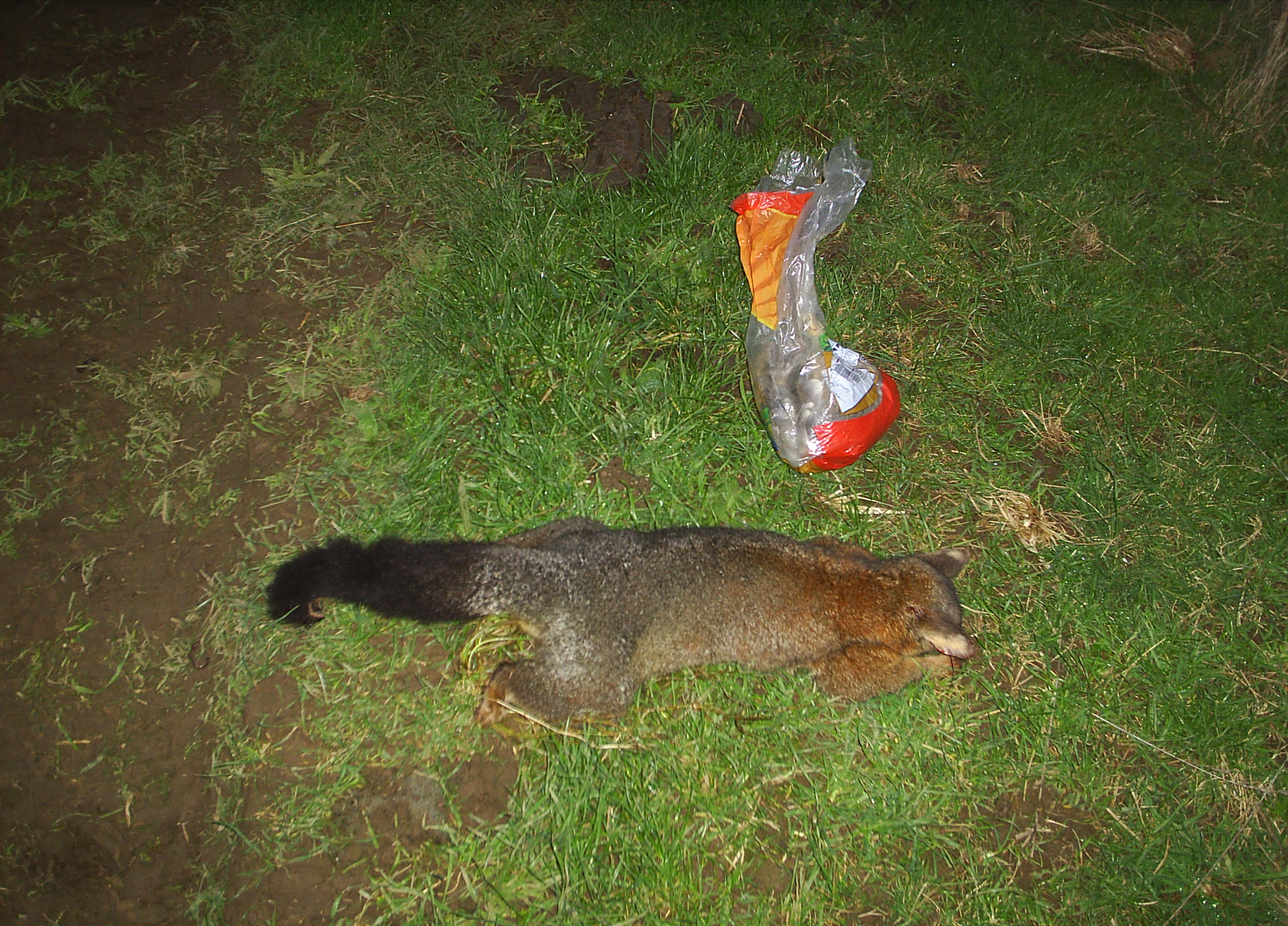 Name:  picture 9888.JPG
Views: 131
Size:  1.39 MB