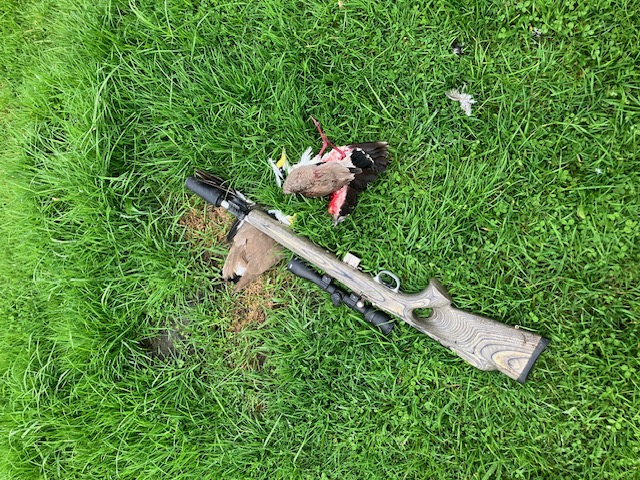 Name:  image0 (32).jpeg
Views: 280
Size:  249.2 KB