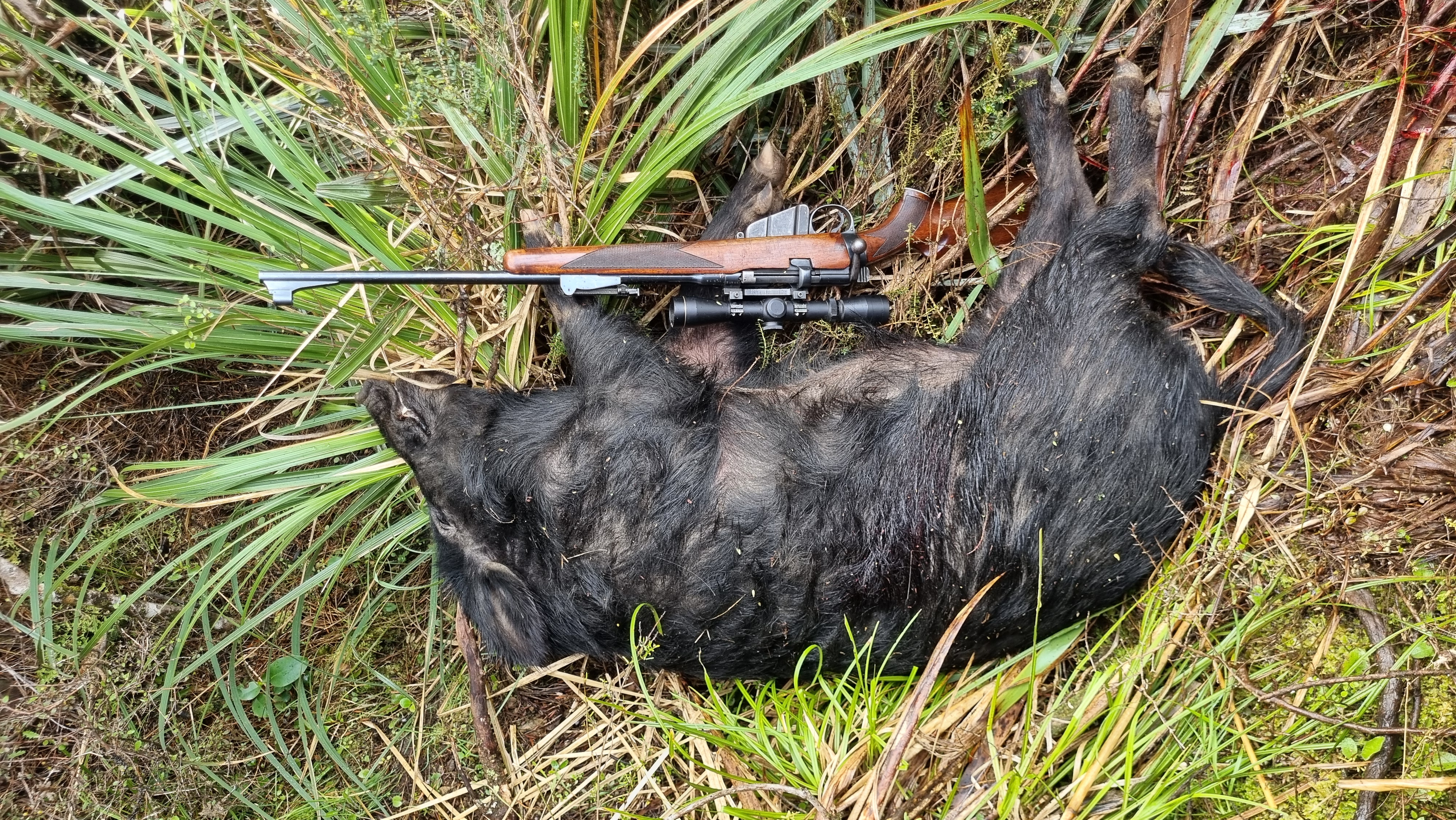 Name:  20251025_084354.jpg
Views: 299
Size:  9.05 MB