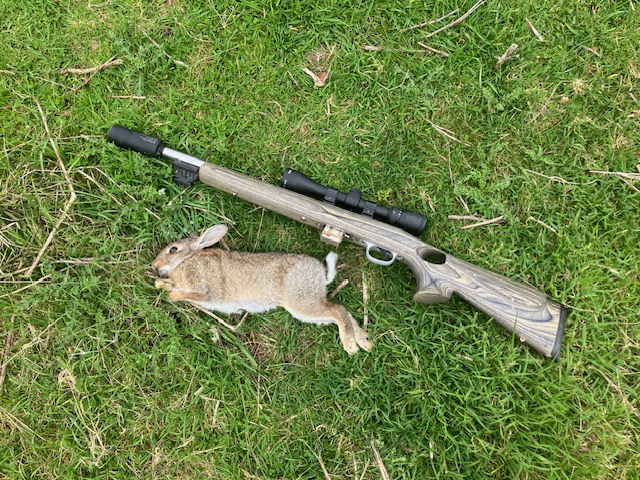 Name:  image2 (7).jpeg
Views: 245
Size:  234.7 KB