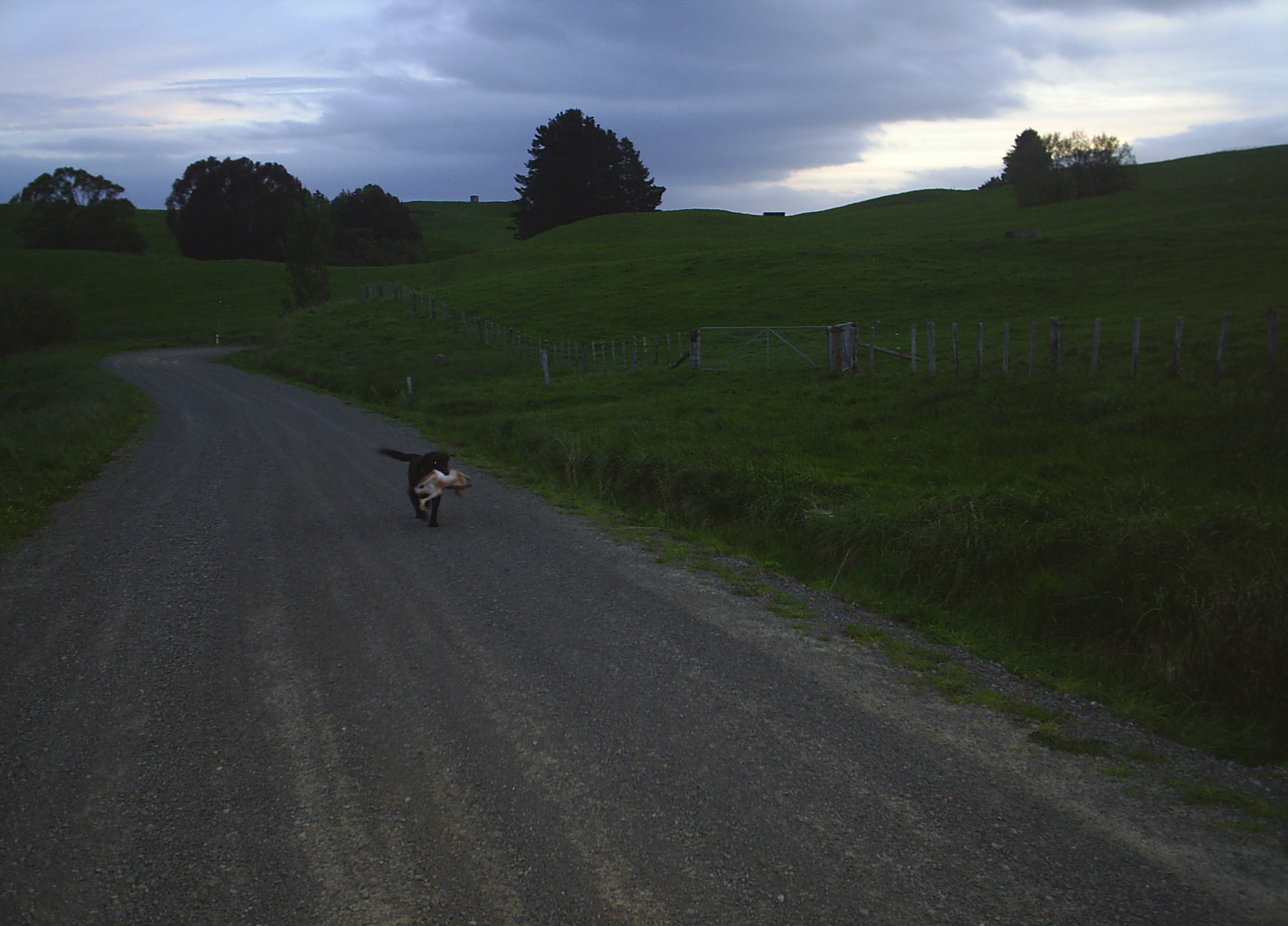 Name:  picture 10039.JPG
Views: 202
Size:  699.1 KB