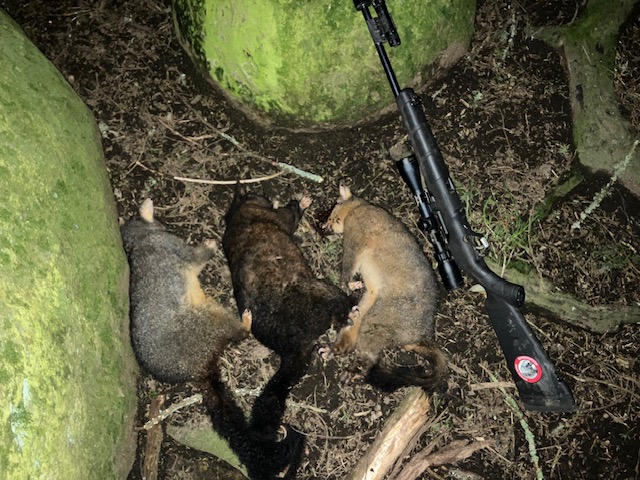 Name:  image0 (35).jpeg
Views: 152
Size:  148.4 KB