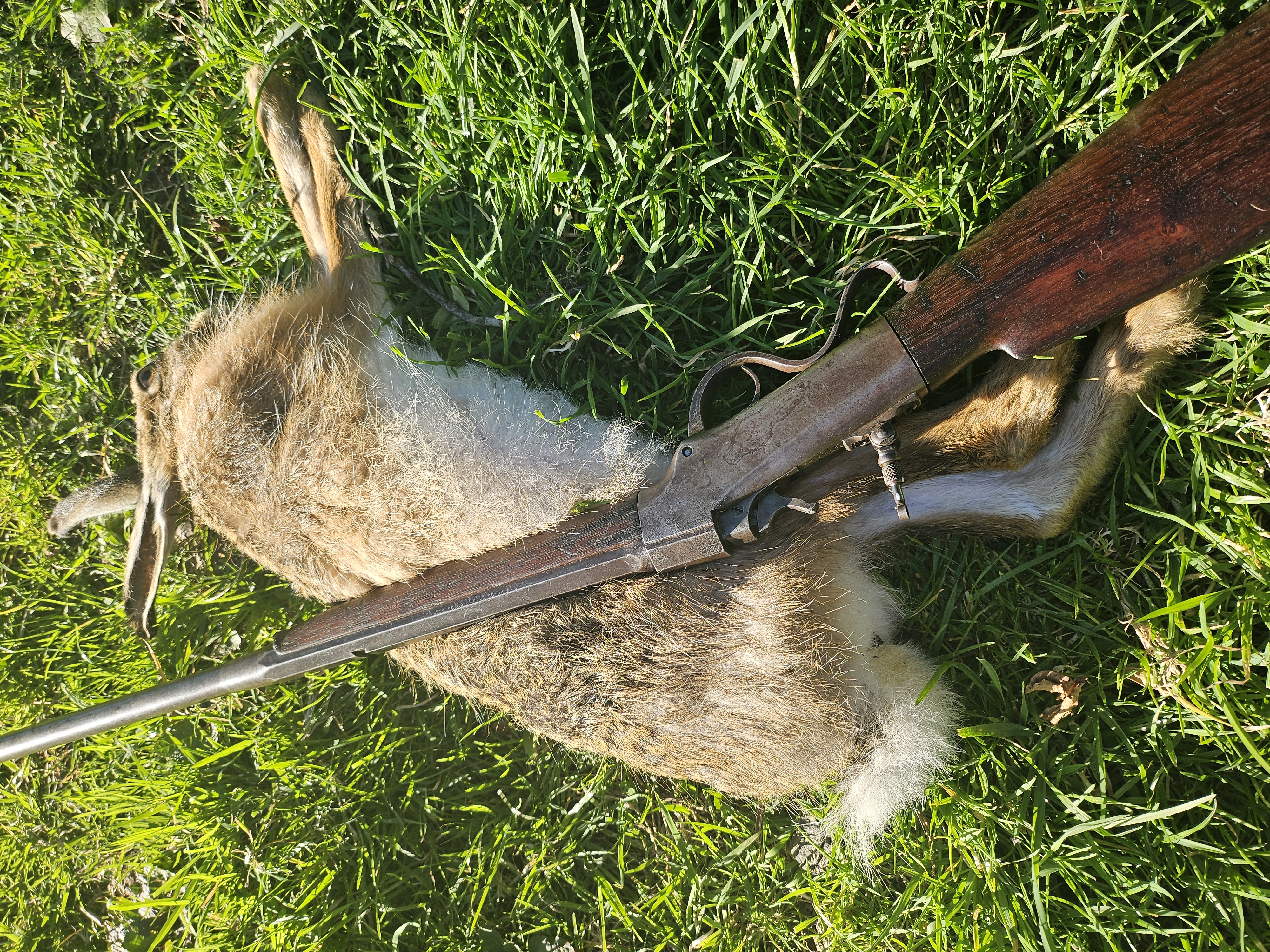 Name:  20251101_175956.jpg
Views: 149
Size:  6.68 MB