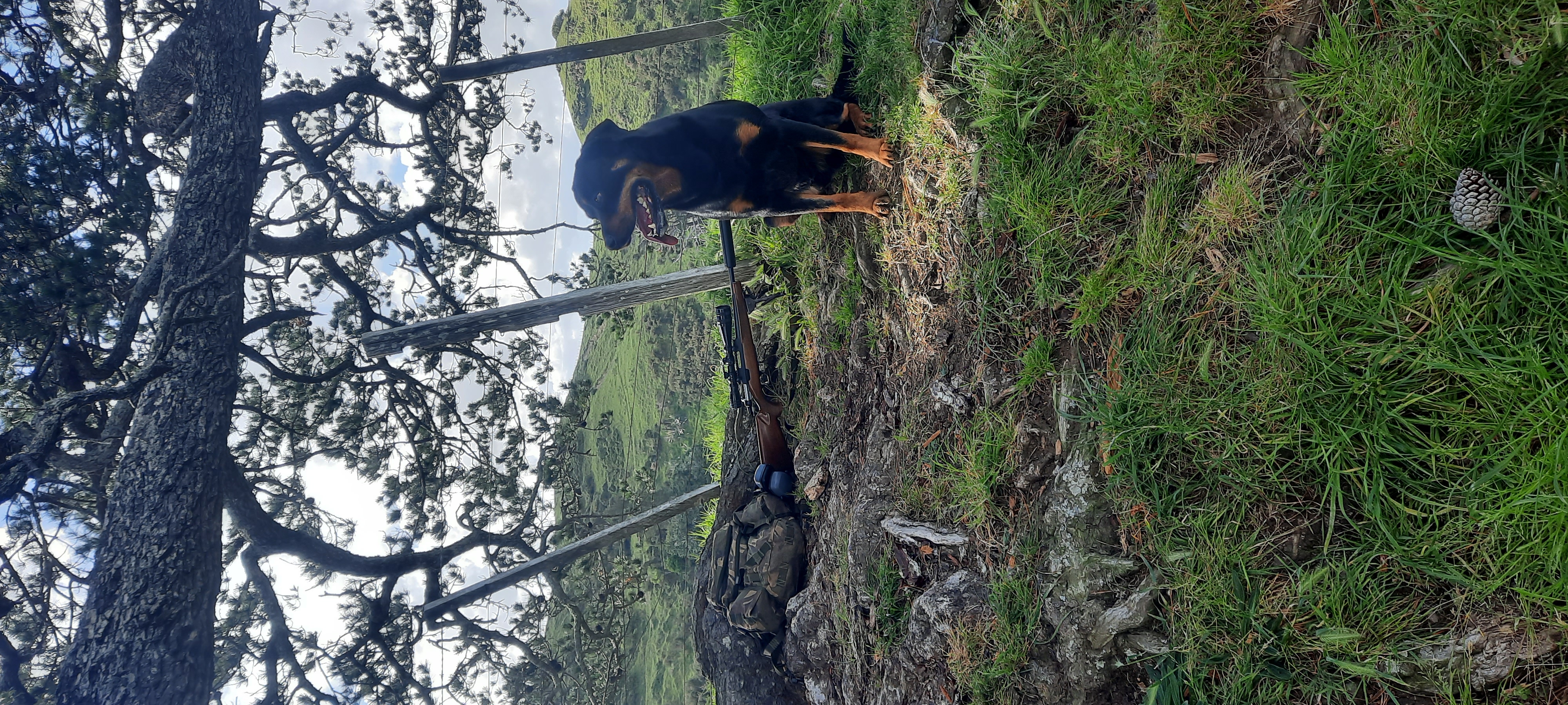 Name:  20251101_155916.jpg
Views: 142
Size:  3.63 MB