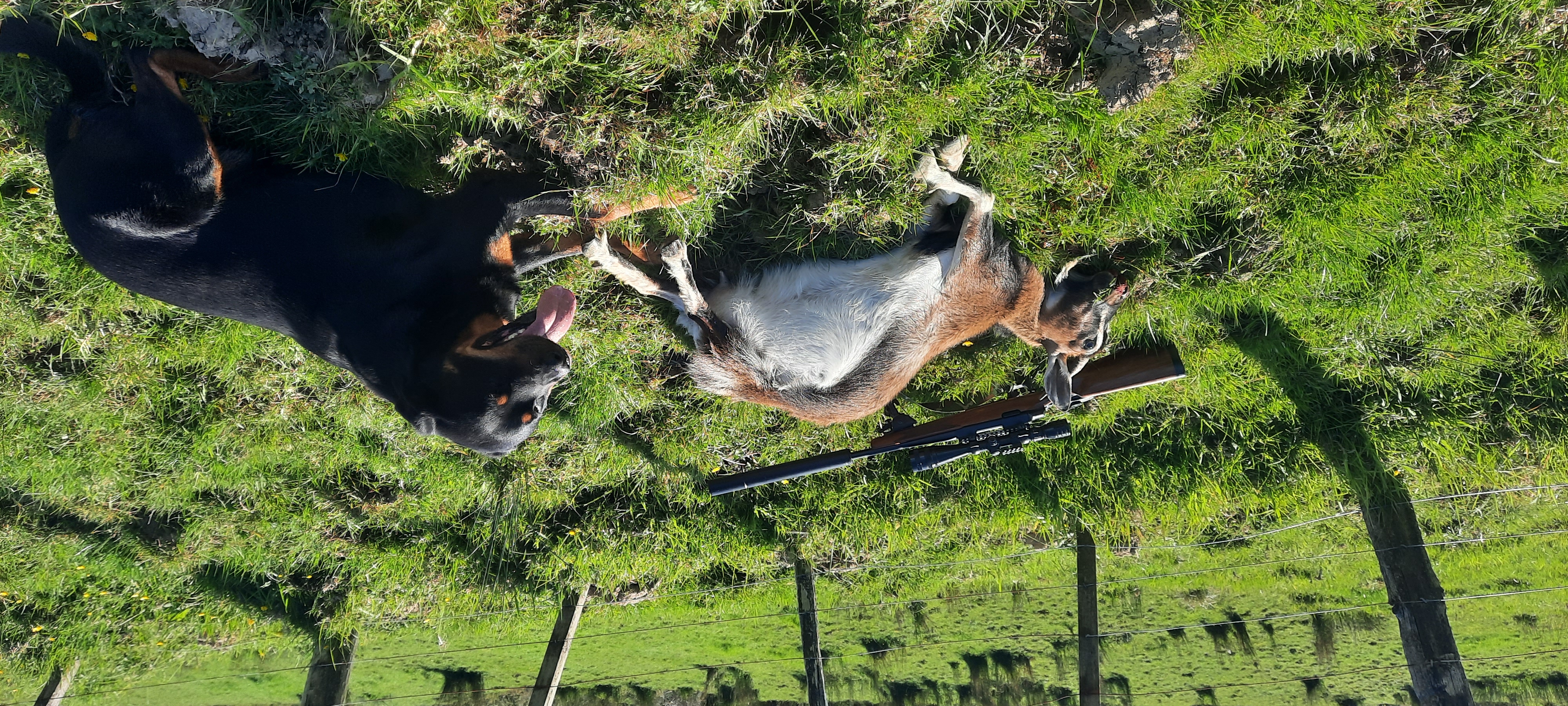 Name:  20251101_164546.jpg
Views: 147
Size:  4.14 MB